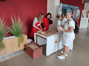 Ve sbírce pro hospic bylo v Jihlavě rozdáno 3700 koláčů. Na nemocné půjde skoro čtvrt milionu korun