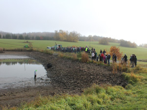 Podívejte se na výlov rybníka u Zborné. Rybí dobroty a slunečné počasí přilákaly stovky lidí