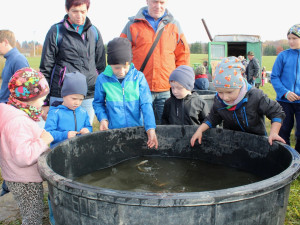 Podívejte se na výlov rybníka u Zborné. Rybí dobroty a slunečné počasí přilákaly stovky lidí