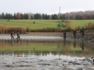 FOTO: Podívejte se na výlov rybníka u Zborné. Rybí dobroty a slunečné počasí přilákaly stovky lidí