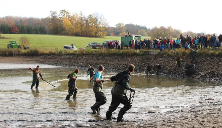 Výlov rybníka u Zborné. Rybí dobroty a slunečné počasí přilákaly stovky lidí