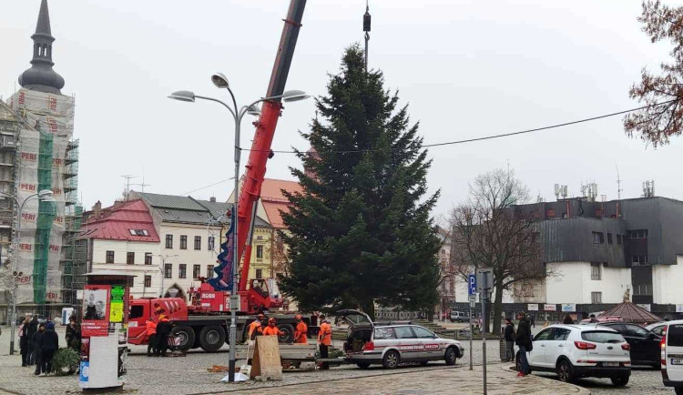 VIDEO: Jihlavský vánoční strom je už na svém místě. Podívejte se na jeho cestu na náměstí