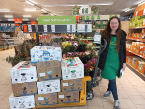 Solidarita v nelehké době. V jihlavské sbírce se shromáždila tuna potravin a drogerie