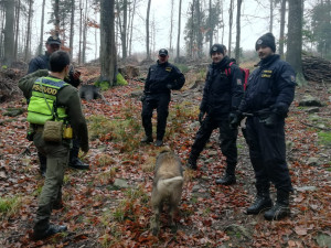 Stovka lidí hledala seniora na Žďársku. Děkuji všem, kteří pomohli najít mého dědu, říká vnučka Lenka