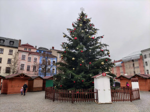 ANKETA: Vánoční strom v Jihlavě je ozdoben, slavnostní rozsvícení je na programu v neděli podvečer