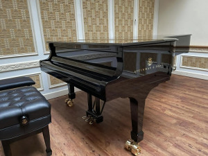 Jihlavská základní umělecká škola si pořídila předčasný dárek. Křídlo světoznámé značky stálo 4,7 milionu