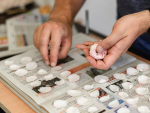 Veronika s Petrem vyrábí úchvatné obrazy z lisovaných květin. Na výlety chodíme s batohy plných knih, říkají