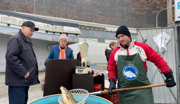 Do Brna připlavali vánoční kapři. Lidé si za ryby připlatí