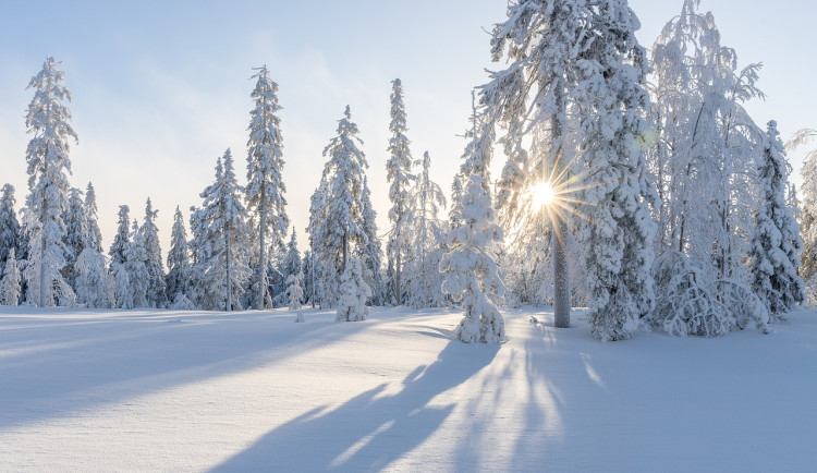 Počasí na Vánoce patří k těm nejsledovanějším. Víte, kdy v Jihlavě na Štědrý den naposledy sněžilo?