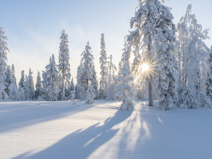 Počasí na Vánoce patří k těm nejsledovanějším. Víte, kdy v Jihlavě na Štědrý den naposledy sněžilo?