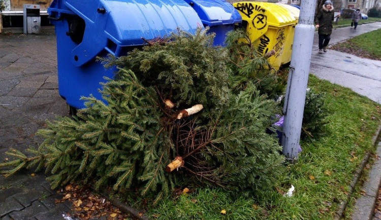 Jak správně vytřídit vánoční odpad? Podívejte se na záludnosti, ve kterých se nejčastěji chybuje
