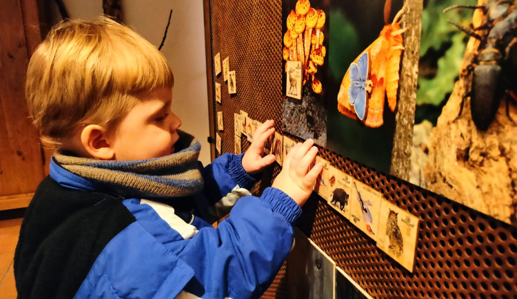 Tajemné šuplíky, úkoly pro děti nebo 3D film. V domě přírody se zabaví malí i velcí návštěvníci