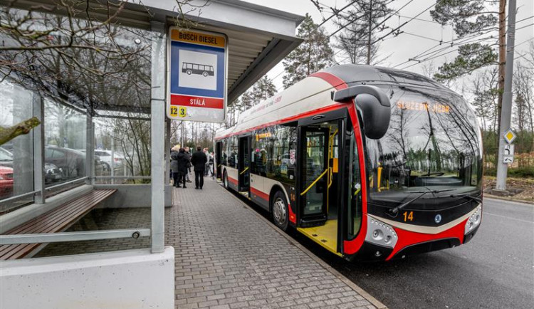 Image - 2023-01-16T182307.063