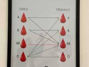 Dárci krve dostali opožděného Ježíška, je zde nový nábytek i dekorace. Podívejte se