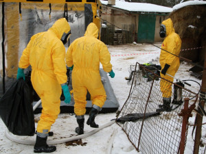 V Okrouhlici na Havlíčkobrodsku postihla ptačí chřipka dva malé chovy. V ČR je tak už 15 ohnisek