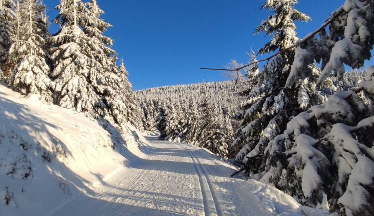 Olomoucký kraj dá milion na běžecké trasy v Jeseníkách