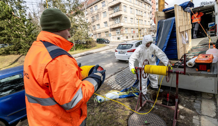 Potrubí v jihlavské Havlíčkově ulici prochází opravou. Díky bezvýkopové metodě se šetří okolní stromy