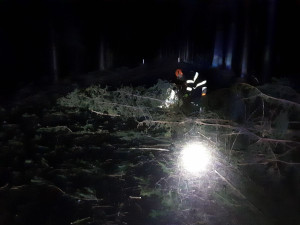 Na Vysočině v noci úřadoval silný vítr. Hasiči mají na kontě od půlnoci přes 30 výjezdů, nejvíc na Jihlavsku