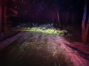 Na Vysočině v noci úřadoval silný vítr. Hasiči mají na kontě od půlnoci přes 30 výjezdů, nejvíc na Jihlavsku