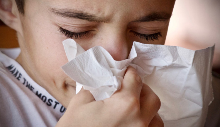 Na Vysočině stoupl počet lidí s respiračními nemocemi. Myjte si ruce a kýchejte do kapesníku, radí hygienici