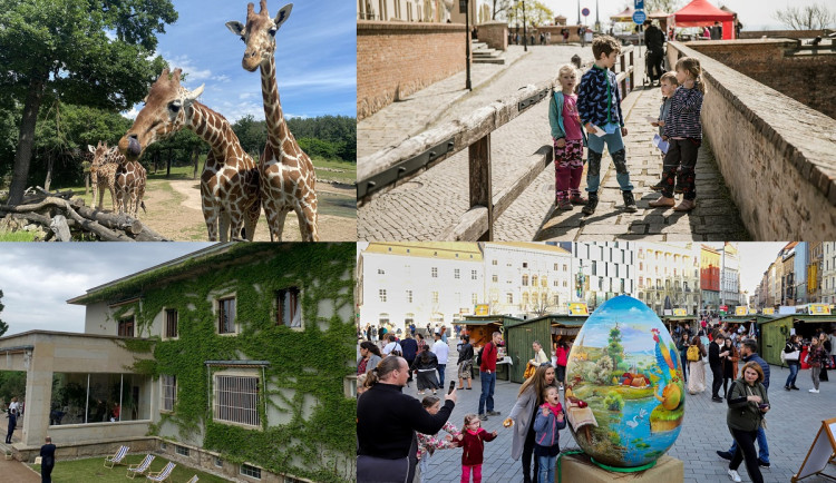 Kam o Velikonocích v Brně? Za hledáním vajíček do zoo i na slavnosti