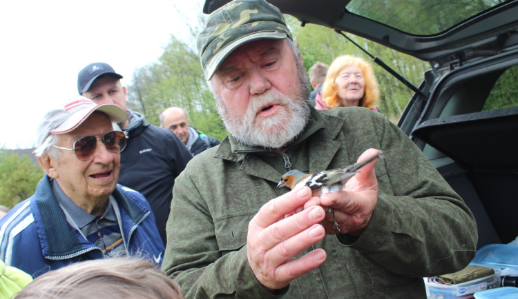 Miroslav Čutka během odchytu pěnkavy obecné