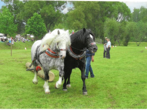 Lesy města Jihlavy zvou na druhý ročník Dne otevřených lesů