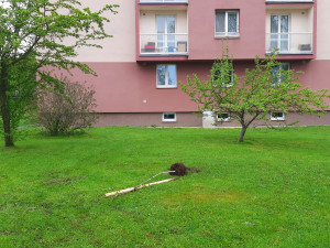 Světový pohár v Novém Městě na Moravě: Organizátoři užili drogy, opili se a ve městě poškodili řadu věcí