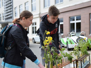 Bára z Jihlavy, Tomáš z Habrů a Matěj z Polné předvedli, že jsou největšími experty na zemědělství a lesnictví