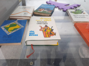 Obsah skříně během dnešního odpoledne