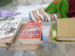 Obsah skříně během dnešního odpoledne