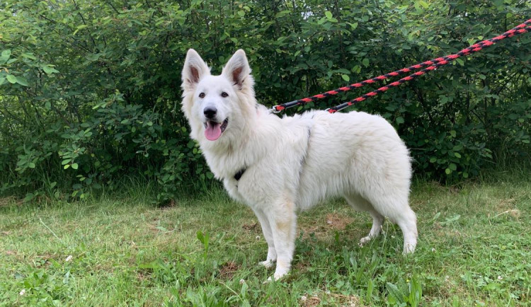 353093169_968407547687254_266313795453323559_n