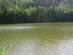 KOUPÁNÍ NA VYSOČINĚ: První kontroly přírodních nádrží. Horší vodu má jen rybník Kachlička