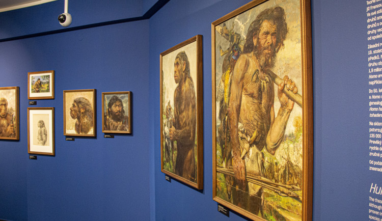 K brněnskému mamutovi přibyly Burianovy obrazy i prastará rytina koně