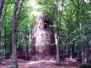 Tip na výlet: Zřícenina hradu Chřenovice u řeky Sázavy. Původně ho obývali rytíři, už v 16. století byl pustý