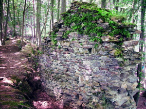 Tip na výlet: Zřícenina hradu Chřenovice u řeky Sázavy. Původně ho obývali rytíři, už v 16. století byl pustý