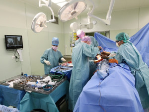 Operační sály jihlavské nemocnice budou okupovat dělníci. Prázdninové opravy vyjdou na 40 milionů korun