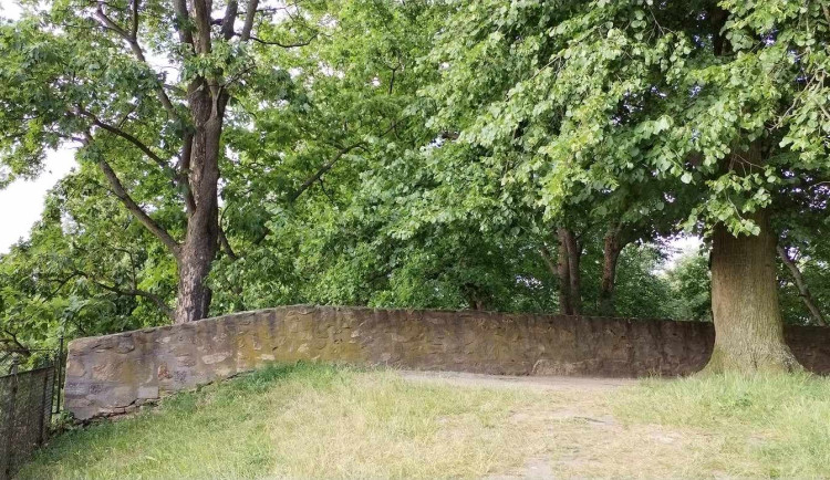 358000353_226566823655570_350847456369775950_n