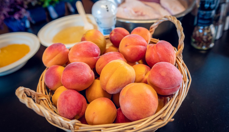 Sadaři na jižní Moravě oslaví Meruňkobraní. Ukážou zavřený židlochovický zámek