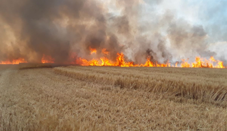 V pátek byli krajští hasiči v permanenci. Na několika místech hořelo pole a stromy, v Kamenné kůlna a včelín