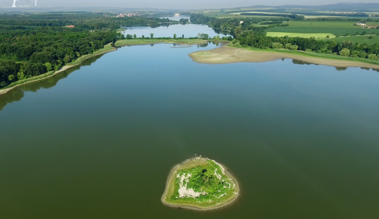 Lednické rybníky jsou nezvykle čisté. Pomohl odlov invazivních ryb