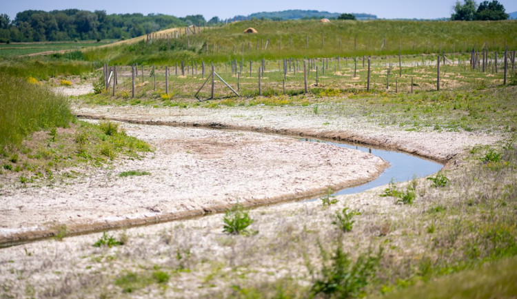 V řekách na jižní Moravě chybí voda. Šetřete, zdůrazňují vodohospodáři