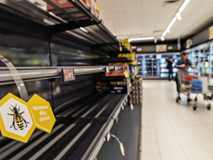 Pomáháme hezky česky: PENNY pro včely