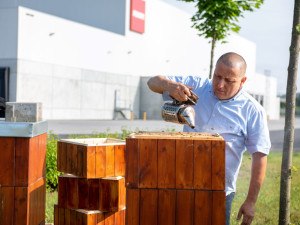 Pomáháme hezky česky: PENNY pro včely