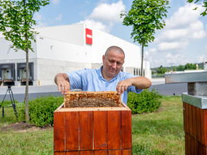 Pomáháme hezky česky: PENNY pro včely