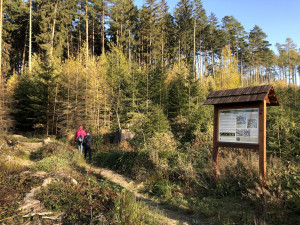Tip na výlet: Sedm kilometrů poznání. Přírodu i historii Humpolecka nastíní Naučná stezka Březina