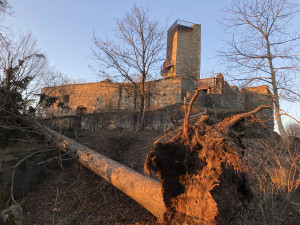 Tip na výlet: Sedm kilometrů poznání. Přírodu i historii Humpolecka nastíní Naučná stezka Březina