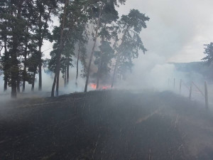 Sedm jednotek hasičů bojovalo s rozsáhlým požárem na Třebíčsku. Byl vyhlášen druhý stupeň poplachu