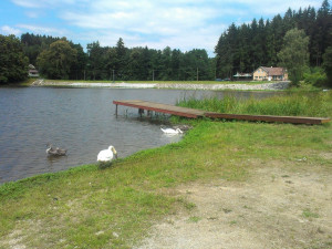 Na Vysočině platí dál zákaz koupání v rybníku Kachlička. Rekreantům tam hrozí poškození zdraví