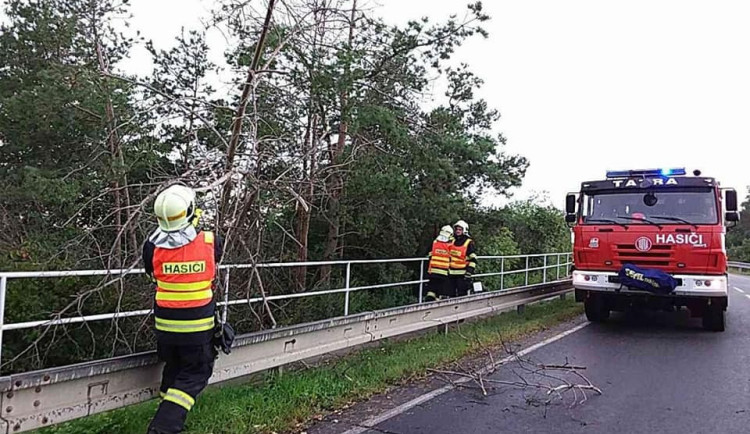 size4-15643334639027-124-67229618-2556097697775778-3498664175884828672-n